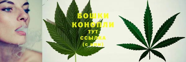 MESCALINE Верея